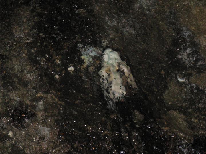 Mine 012.JPG